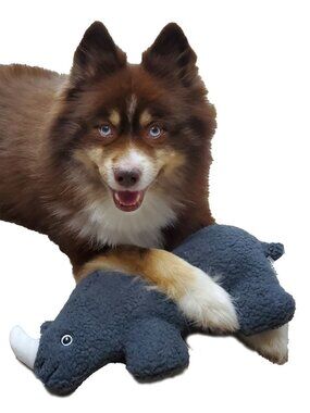 Gertie the BlackRhino Fleece Dog Toy-Durable Double-Stitched Squeaker&CrinkleToy